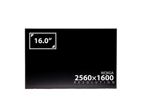 NE160QDM-NZ6 Screen 16.0